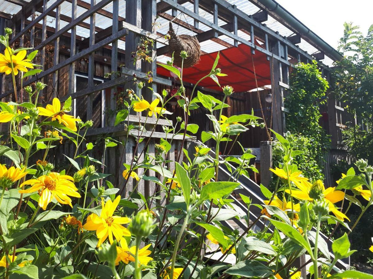 Holzhaus Mit Gruener Aussicht Zum Erholen Villa Burgheim Exterior photo